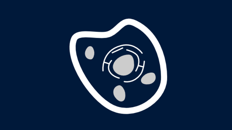 A stylised cell in a blue circle