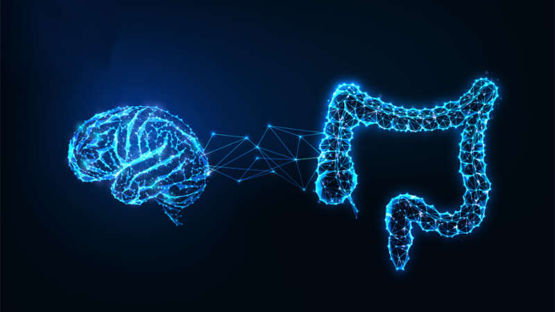 A digital visualization. Against a dark blue gradient background, two complex structures resembling a brain on the left and an intestinal tract on the right glow in a bright, neon-blue wireframe pattern. Both shapes are constructed from a web of interconnected glowing lines and small dots. Connecting the right side of the brain-like shape to the left side of the intestinal-like shape is a loose, horizontal bridge made of similar geometric lines. Tiny, sparkling light points are scattered around the edges of the structures.